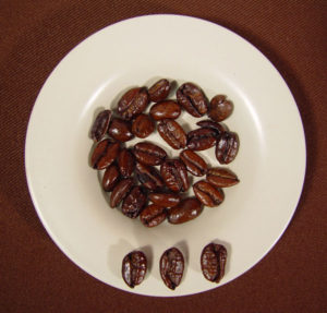 Liberica beans