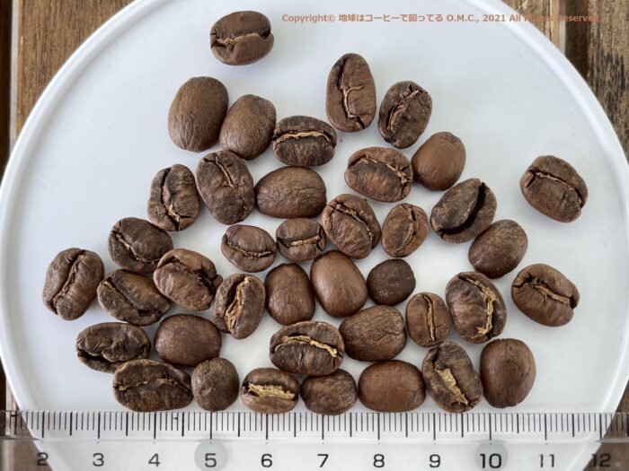 Coffee beans of Pacamara