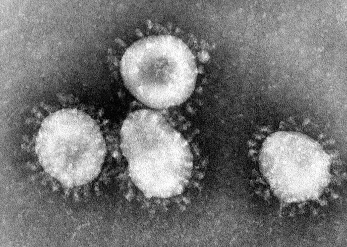 picture of coronavirus