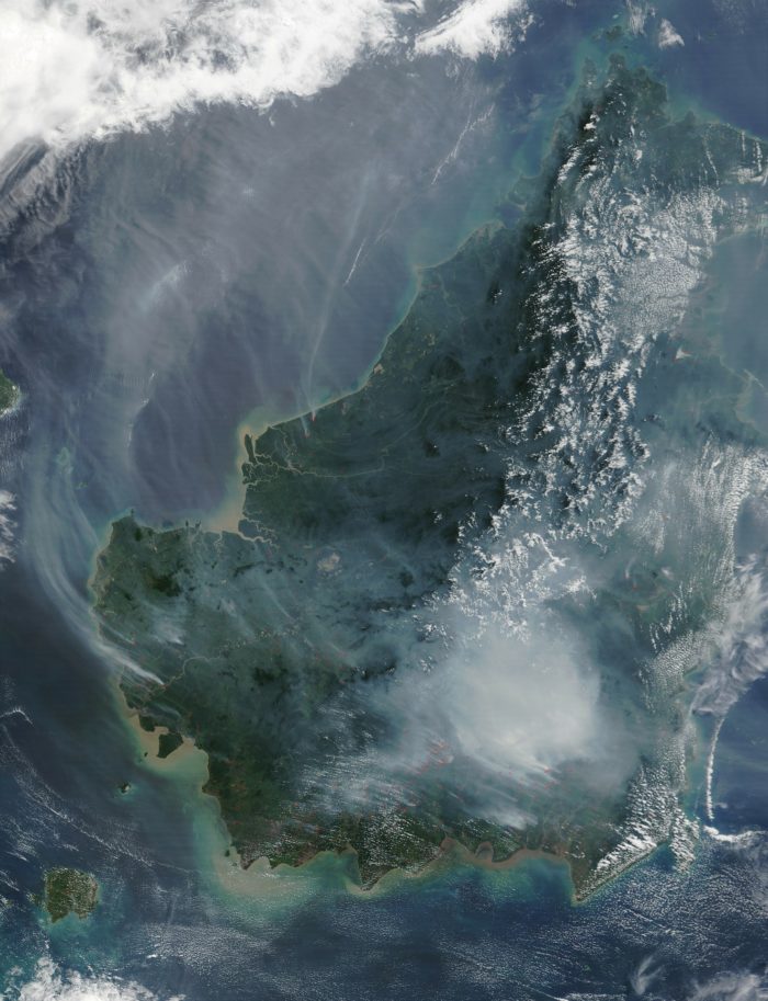 Satellite image of Borneo island